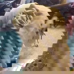 Cindy Aprillah Khartika Bakti profile icon