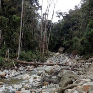 My Personal Test profile icon