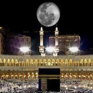 نور ليلي محمد profile icon