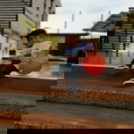 Niuqaoj Anohj profile icon