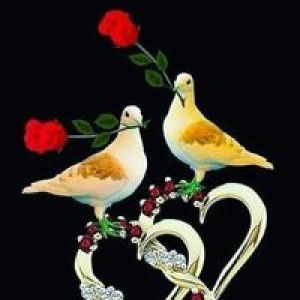 Ummu Ghozi profile icon