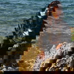 Jennifer Lacerna profile icon