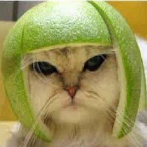 nabilah profile icon