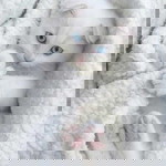 Dinda Indah Ayu profile icon