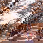 Minizsan profile icon