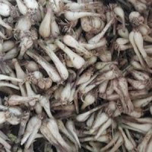 My Duyen Tran profile icon