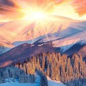 Prency Cita Jimera profile icon