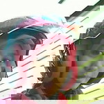 Nay Inayatul Maulaa profile icon