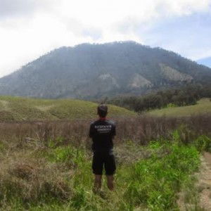 dwi setya Riwanto profile icon