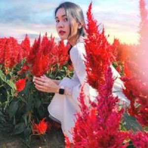 Patcharapann's Onpan profile icon