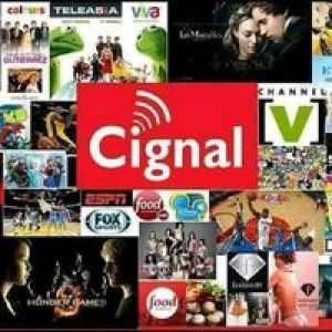 Yeng Navarro profile icon