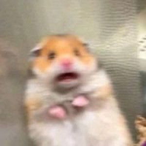 เรา มิน. profile icon