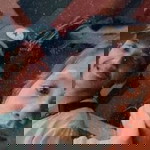 Ella Phesekk profile icon