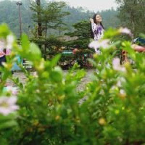 Syndi Nuraisyah profile icon