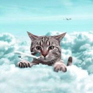 Aninditha profile icon