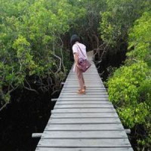 Veronika Tika profile icon