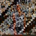 Margarita Dioso profile icon