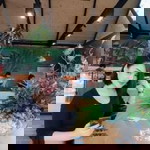 Korn Ni Ga profile icon