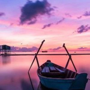 Diana Novitasari profile icon