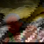 Arcel Jayrine profile icon