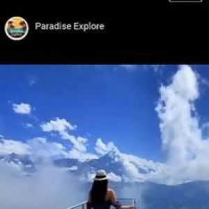 Jane Palenzuela profile icon