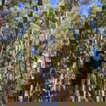 Crisel Centino Santos profile icon