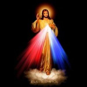 Sertoria Tuddy Da Costa profile icon