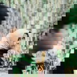 Nida Ul Haq profile icon