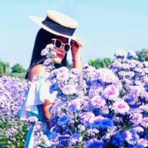 ฟ้า หลังฝน profile icon