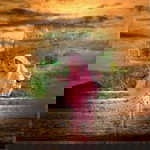 Mamah Dealfaqih Al-faridji profile icon