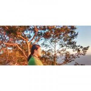 Ori Holiday profile icon