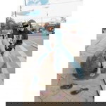 ayu werdiningsih profile icon