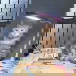 pimporn profile icon