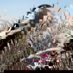 Tsis Muaj Lawm profile icon