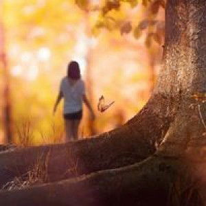 Chee Ny profile icon