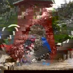 Dewi Herfina profile icon