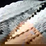 Vani Octaviani profile icon