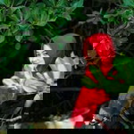 Poppy Sahara profile icon