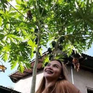 Pau Slleargue profile icon