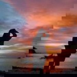 Nadh Ahmad profile icon