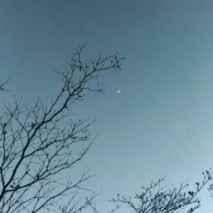 Mardlatillah Intan Firdaus profile icon