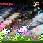 Tuk Sopha Jueajan profile icon