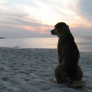 อ้อม 'ม profile icon