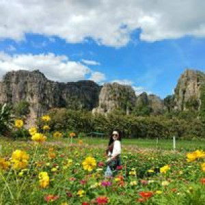 Wanwisa Wangweawklang profile icon