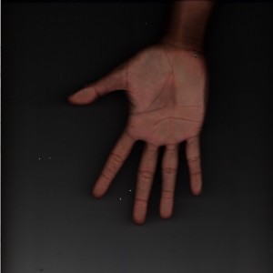 alsen kaa profile icon