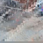 Bibie Yassin profile icon