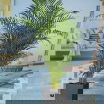 FC WINTON SCP profile icon