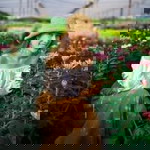 หมวยเล็ก ปวีร์รตา profile icon