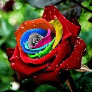 Azierah Azemin profile icon