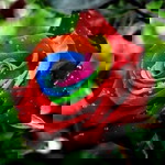 Azierah Azemin profile icon